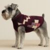 Dog Poncho #11