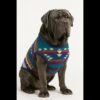 Dog Poncho #13