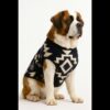 Dog Poncho #17
