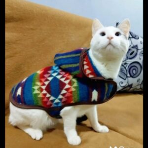 Cat Poncho #3